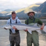 Lawrence and his guide holding a 6-foot White Sturgeon